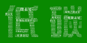 九游体育app邀您共享低碳“盛宴”